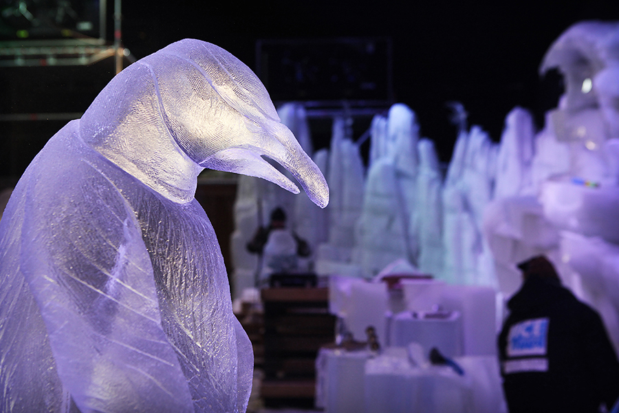 Фестиваль ледяных скульптур в бельгийском Хаселте